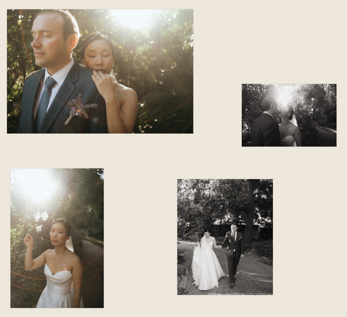 Composición editorial de una pareja de recién casados entre árboles